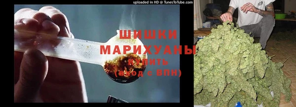 прущие крисы Ельня