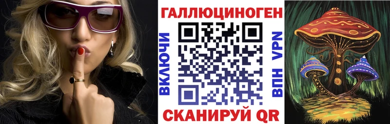 Галлюциногенные грибы Psilocybine cubensis  Сегежа 