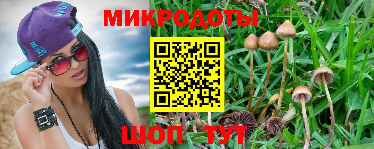 Псилоцибиновые грибы мицелий  Вход с VPN  Сегежа 
