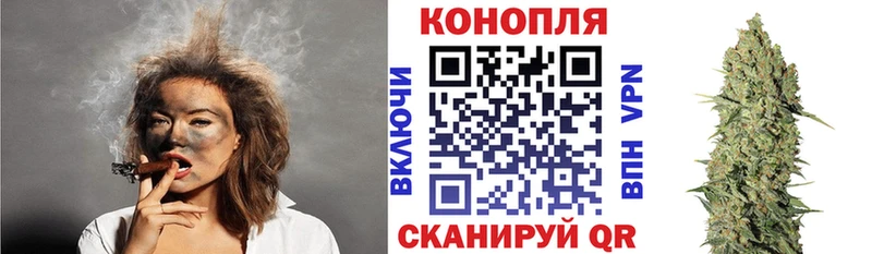 Конопля планчик  где найти   Сегежа 